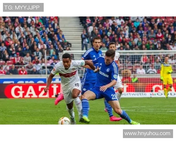 德甲激战沙尔克迎战弗赖堡争夺关键积分之战 德甲激战沙尔克迎战弗赖堡争夺关键积分之战