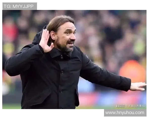 维冈对诺维奇精彩直播全程回顾及赛后分析