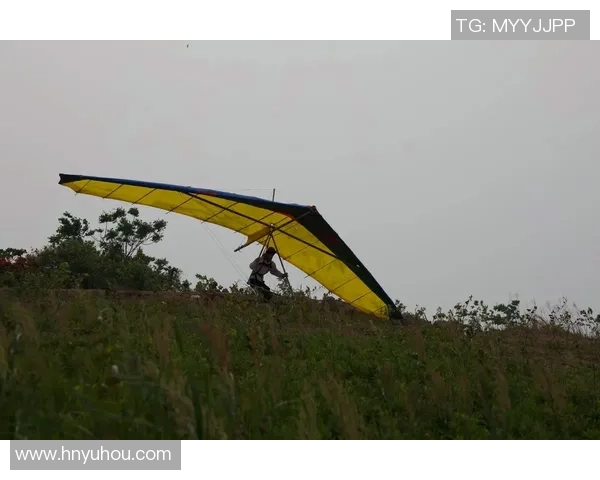 杭州极限运动队如何引领节奏革新助力运动员突破自我极限